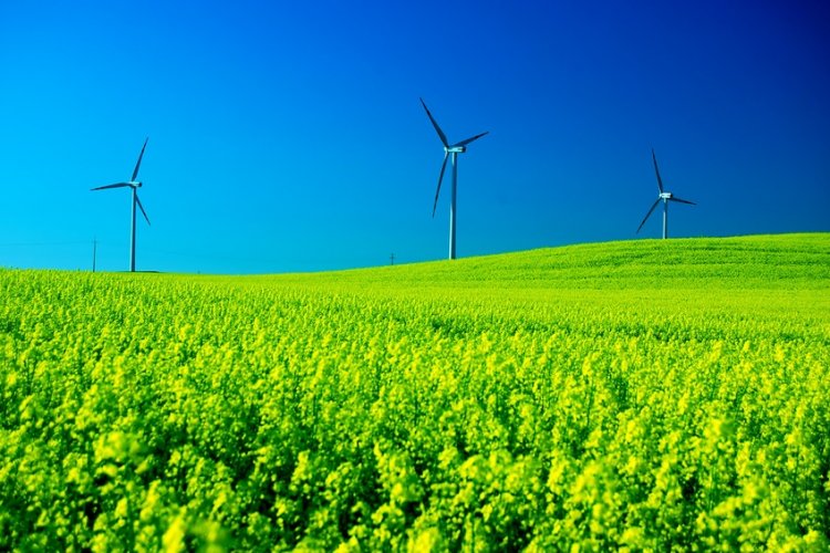 How Can You Make Your Restaurant More Sustainable?